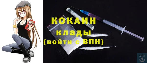 шишки Михайловка