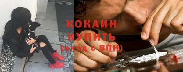шишки Михайловка